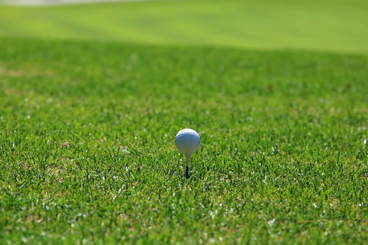 Pestana Alto Golf