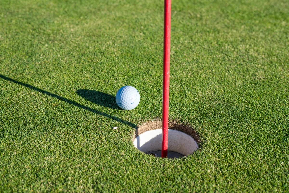 Salgados Golf Course