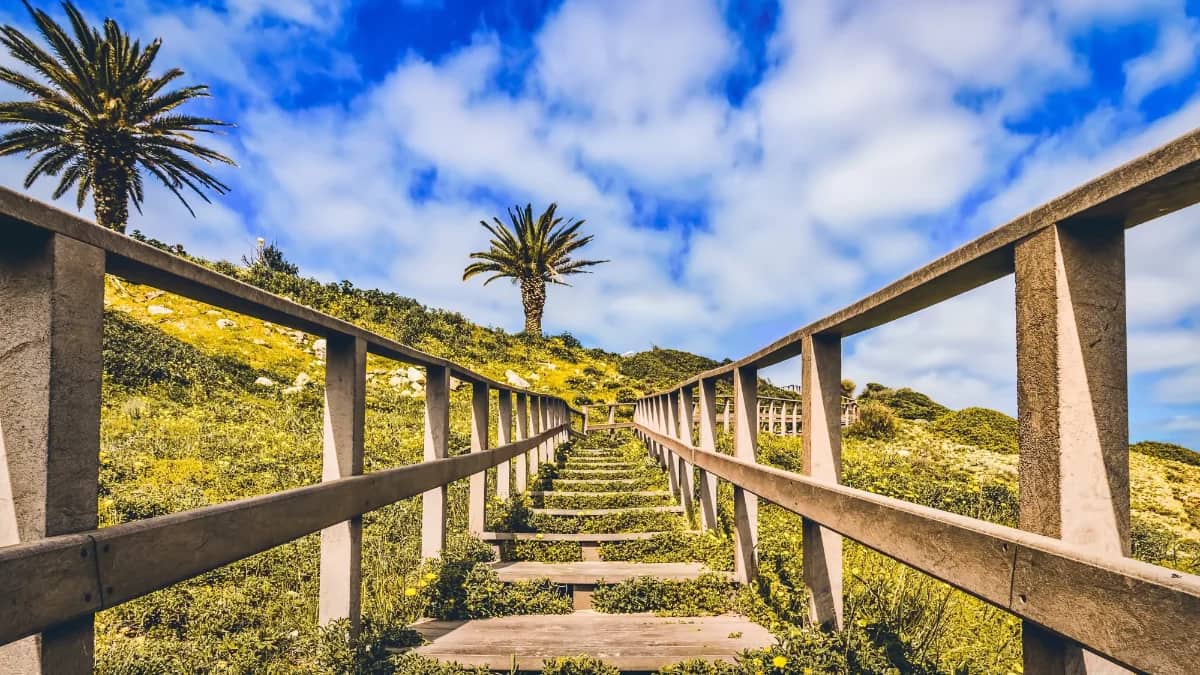 Coast and Country Tours