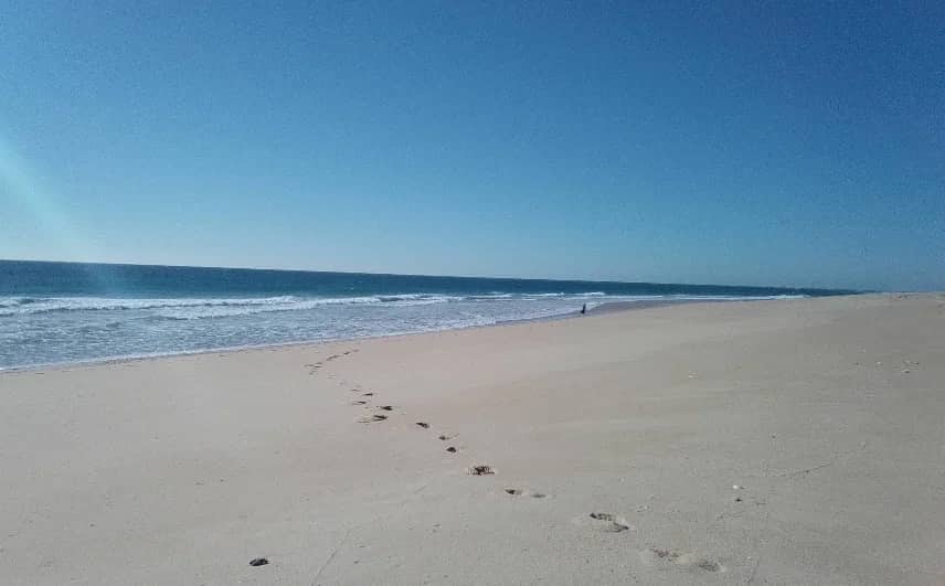 Praia da Ilha Deserta / Barreta